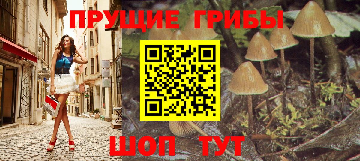 Галлюциногенные грибы Cubensis  Вход с VPN  Кашира 