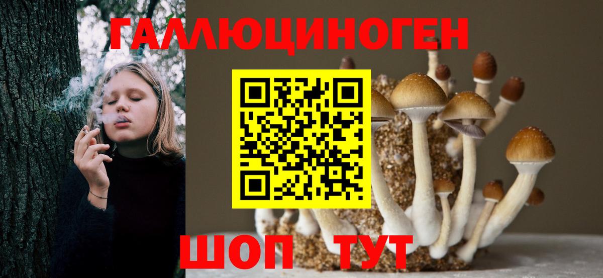 Псилоцибиновые грибы мухоморы Кашира
